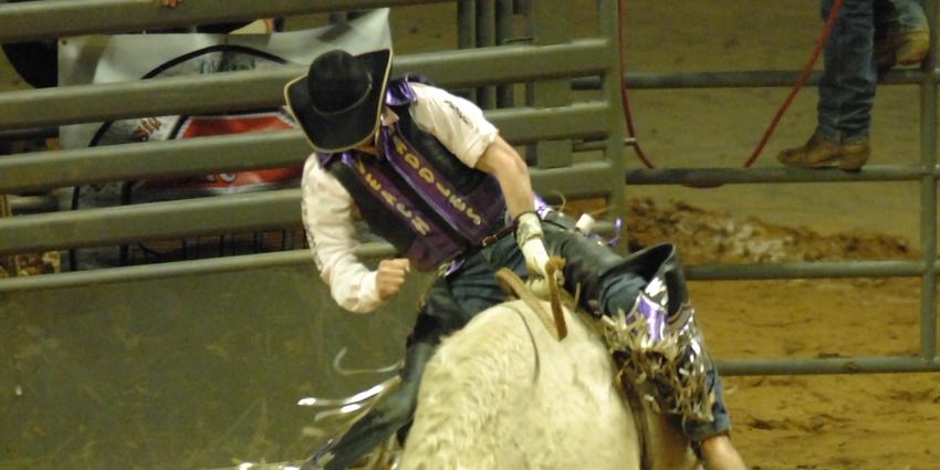 Professional Bull Riding at the Bryce Jordan Center 