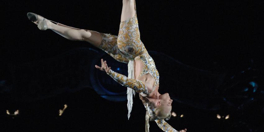 Ringling Brothers Circus at the BJC