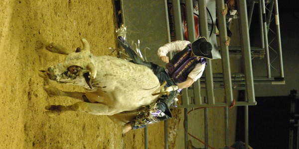 Professional Bull Riding at the Bryce Jordan Center 